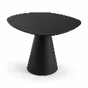 pina negra.webp