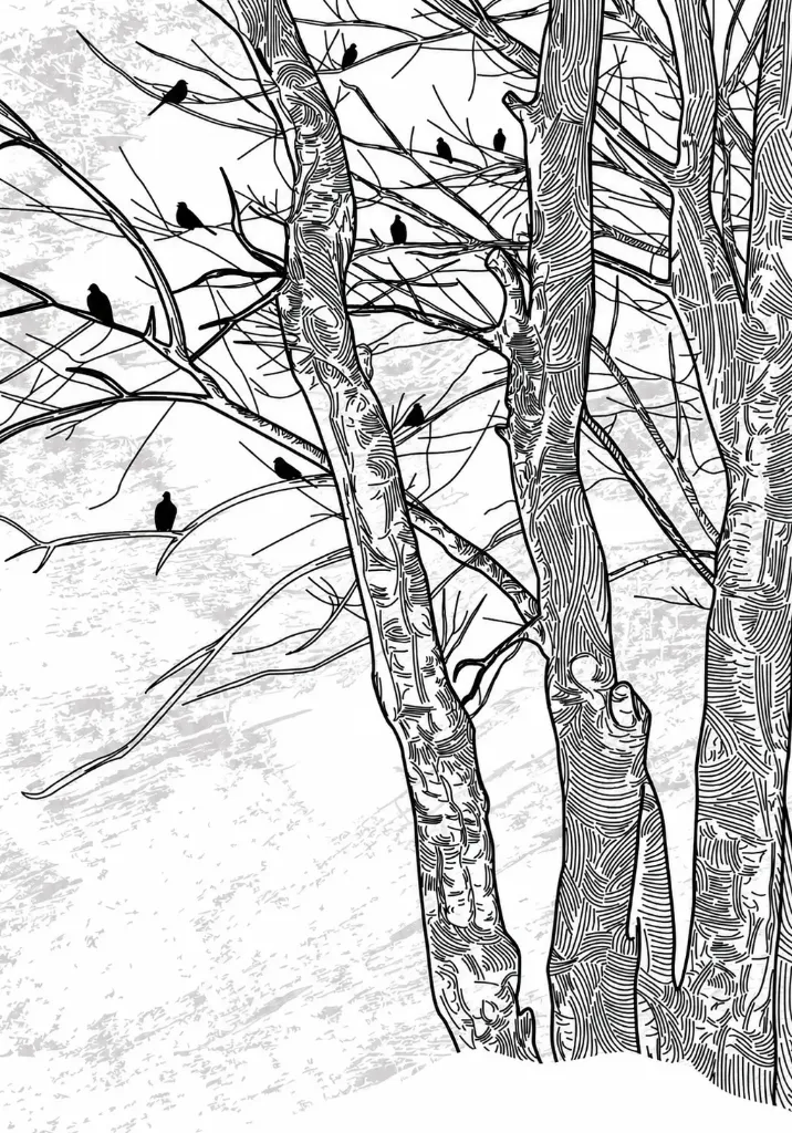 Papel mural Refugio Natural - Colección Naturaleza