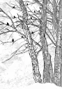 Papel mural Refugio Natural - Colección Naturaleza