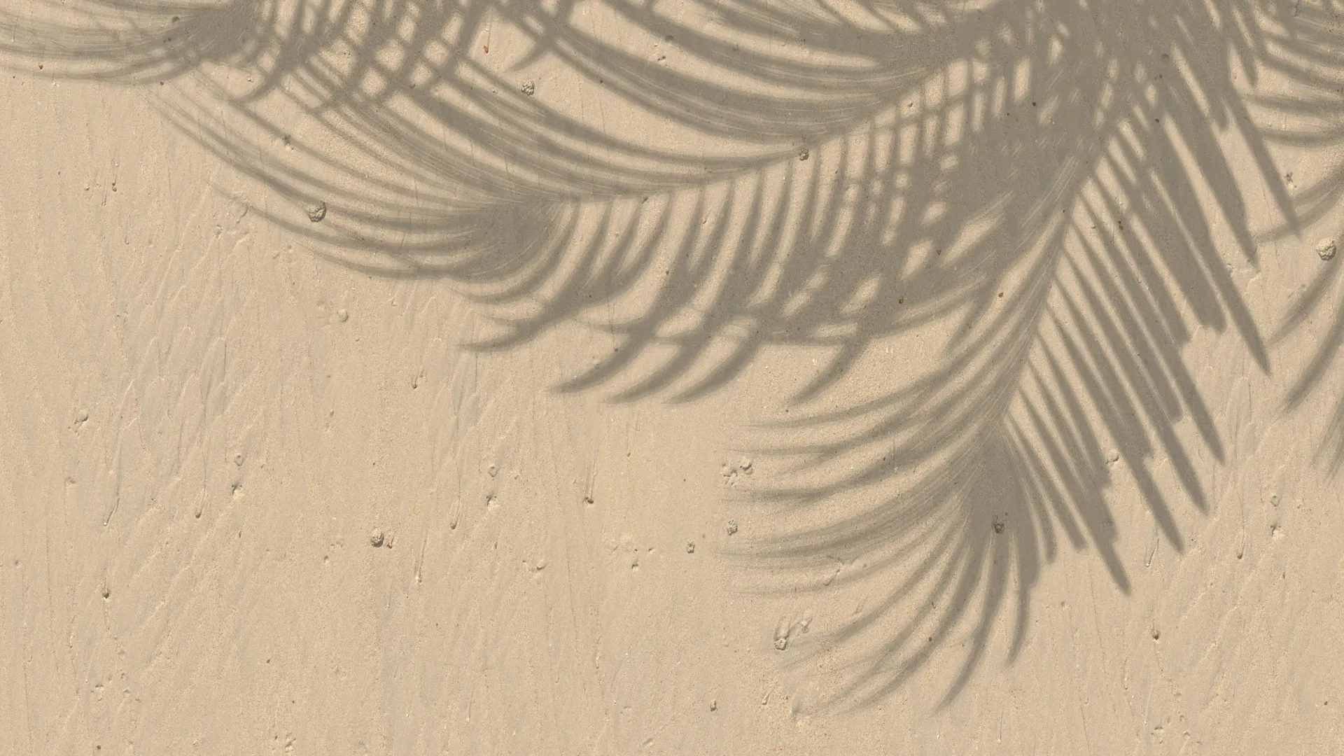 [BH-PM-NAT-003] Papel mural Sombra Tropical Arena - Colección Naturaleza