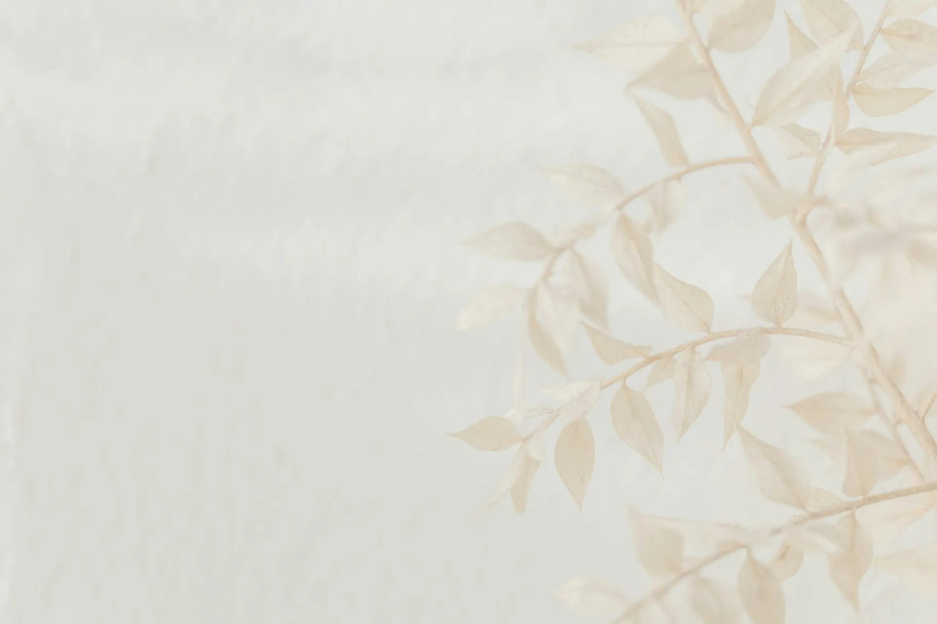 Papel mural Velo de Hojas - Colección Naturaleza