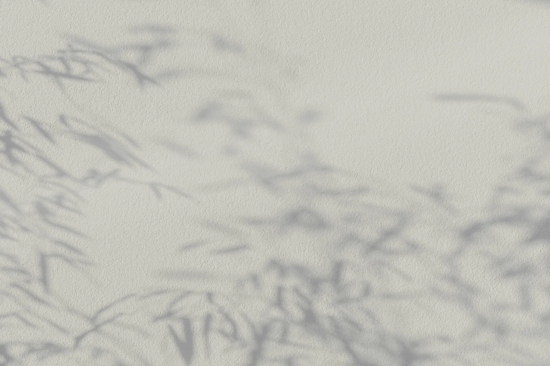 Papel mural Sombra Botánica - Colección Naturaleza