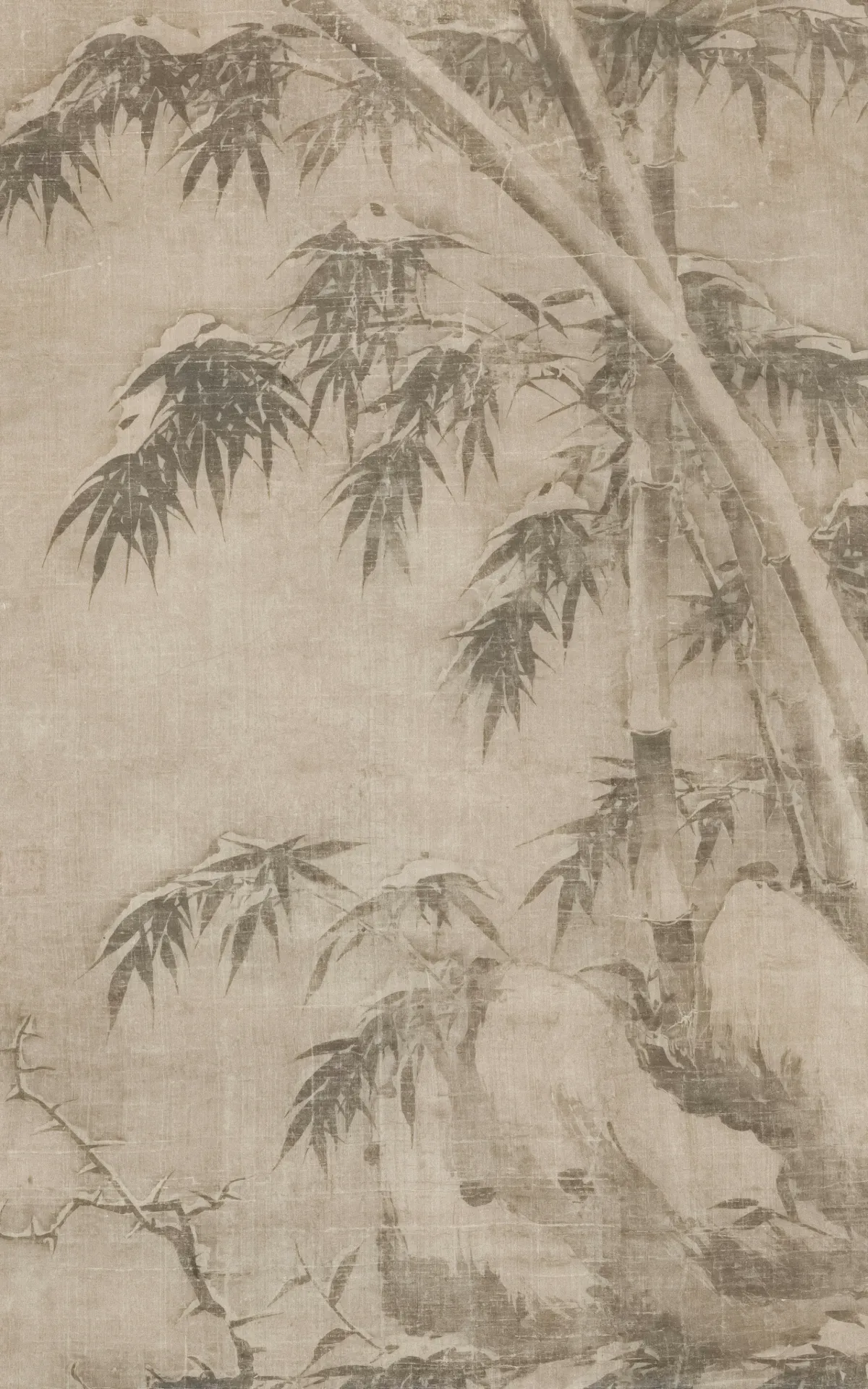 Papel mural Bambú en Calma - Colección Naturaleza