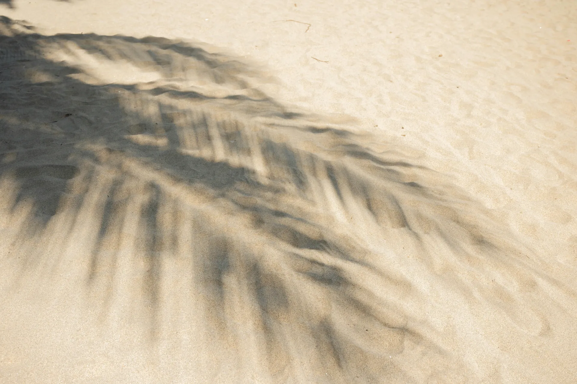 Papel mural Sombras de Arena - Colección Naturaleza