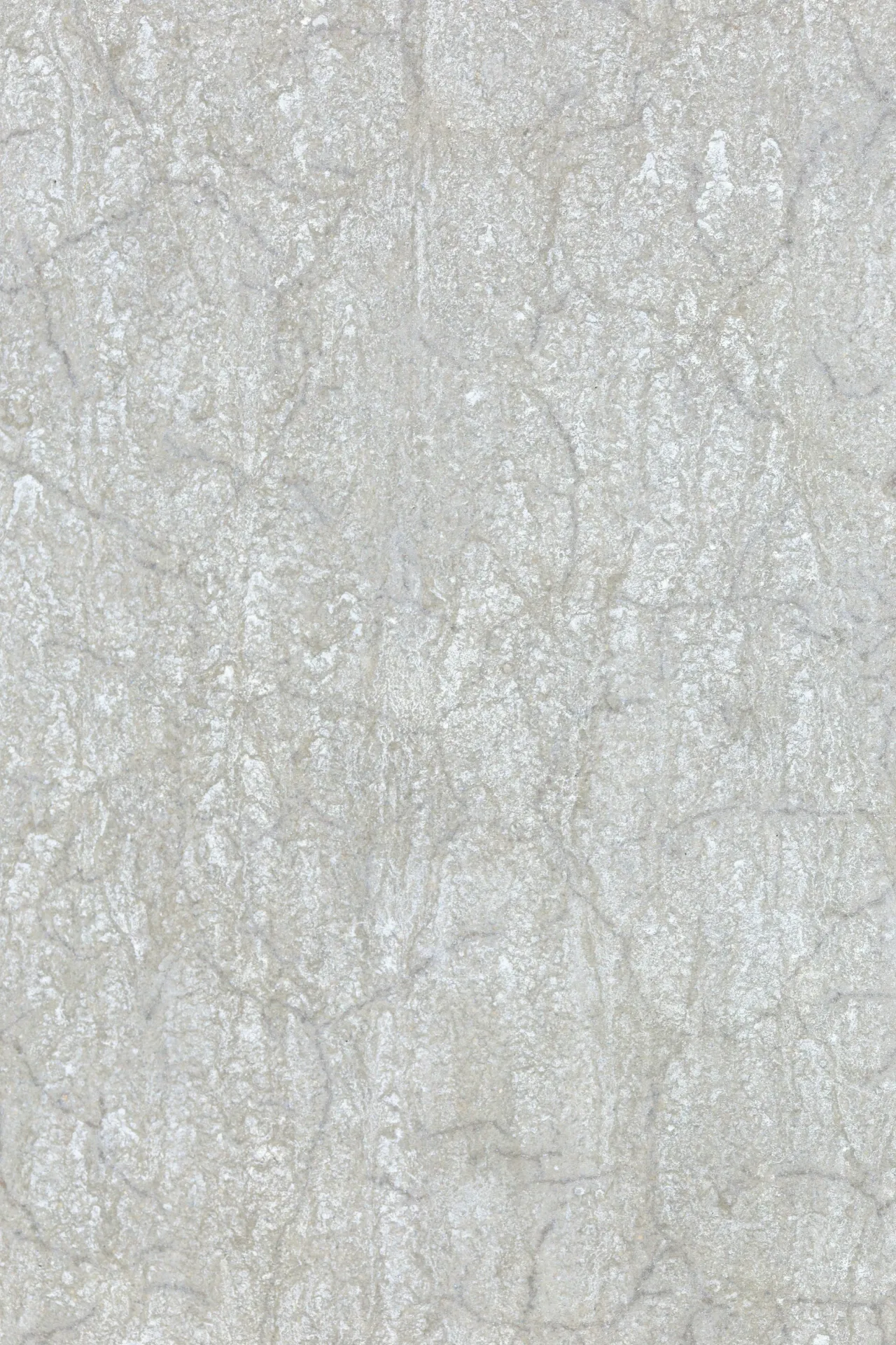 Papel mural Corteza Cinza - Colección Texturas