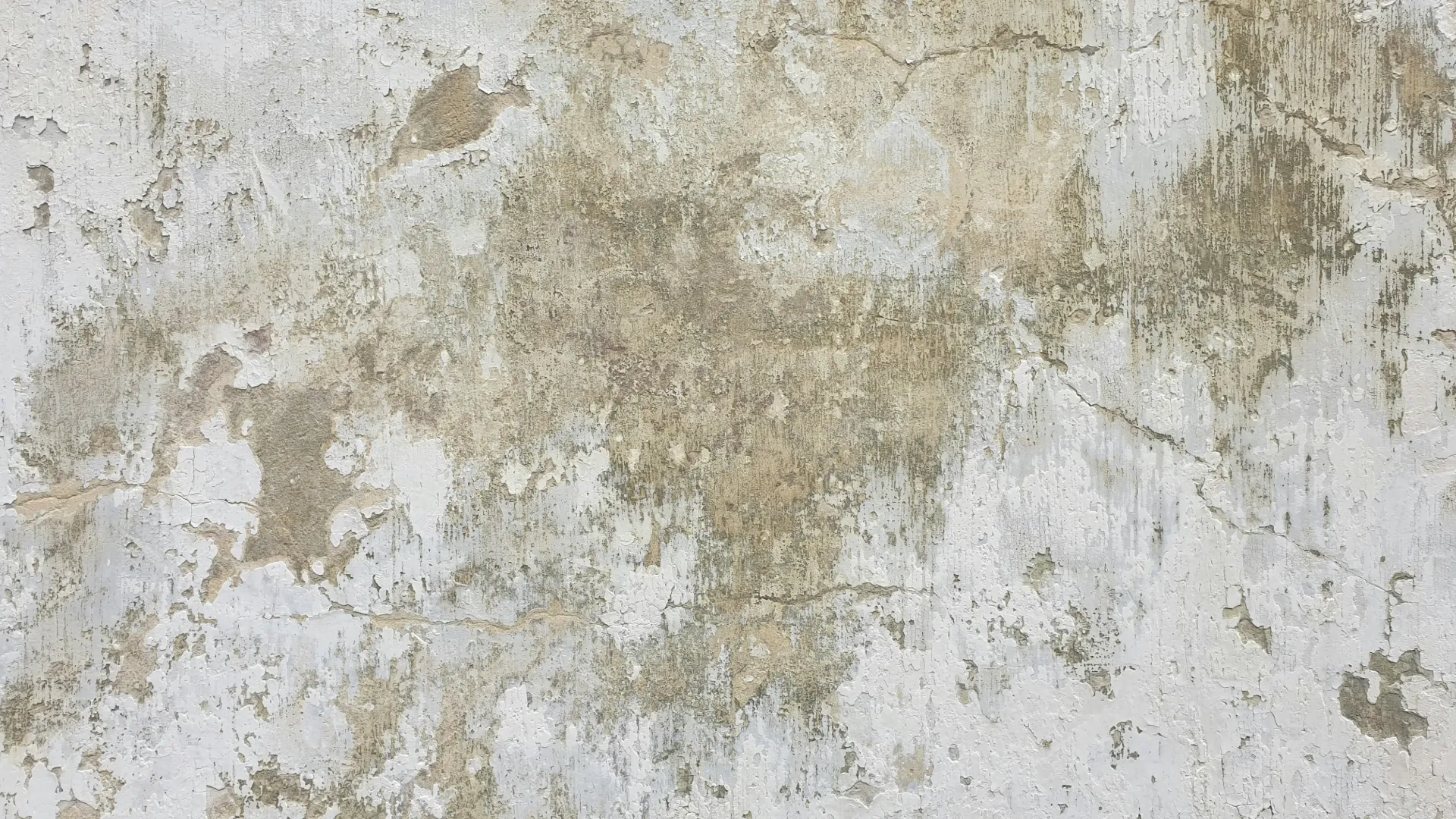 [BH-PM-TEX-006] Papel mural Pátina Cinza - Colección Texturas