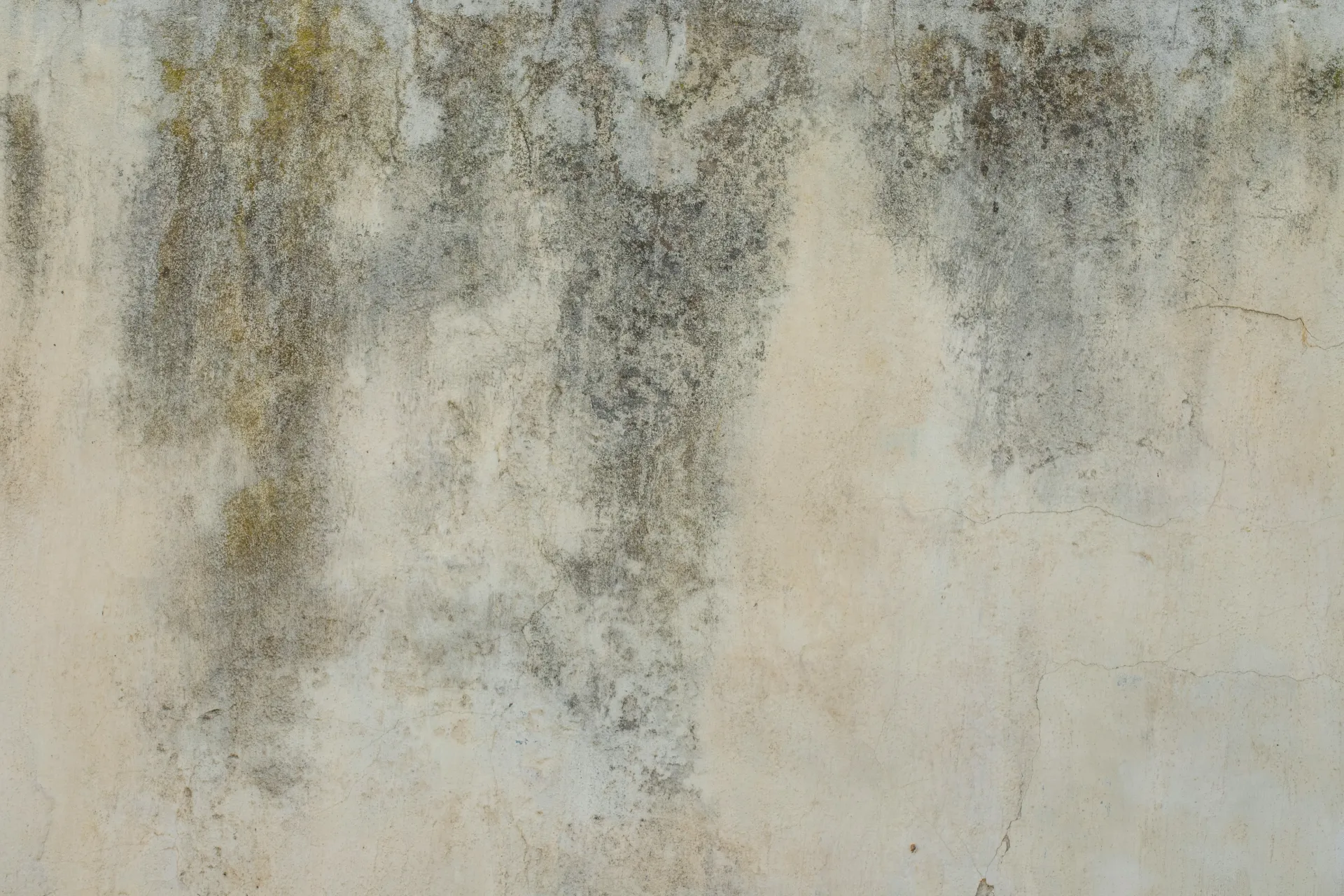 [BH-PM-TEX-035] Papel mural Muro Envejecido - Colección Texturas